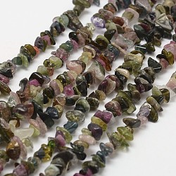 Chapelets de perles en tourmaline naturelle, puce, Grade b, 3~5x7~13x2~4mm, Trou: 0.4mm, 35 pouce