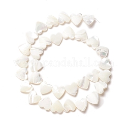 Perle trochid naturali / conchiglie trochus, cuore di pesca, colore conchiglia, 12x12.5x3~4mm, Foro: 0.8 mm, circa 33pcs/filo, 15.59 pollice (39.6 cm)
