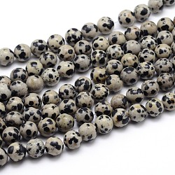 Natur Dalmatiner Jaspis runde Perle Stränge, 6 mm, Bohrung: 1 mm, ca. 62 Stk. / Strang, 15.5 Zoll
