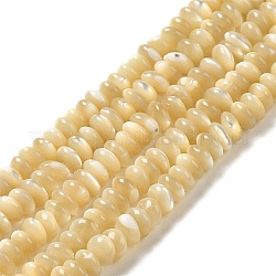 Fili di perline di conchiglia trochus naturale, rondelle, grano, 4~4.5x2mm, Foro: 0.8 mm, circa 171pcs/filo, 15.04'' (38.2 cm)