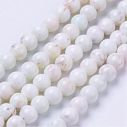 Brins de perles de magnésite naturelle, teinte, ronde, floral blanc, 6mm, Trou: 1mm, Environ 68 pcs/chapelet, 15.7 pouce