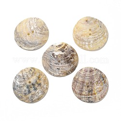 Perlmuttknöpfe, Akoya-Muschelknopf, 2-Loch, Schalenform, Mischfarbe, 35x35x4.7 mm, Bohrung: 2 mm