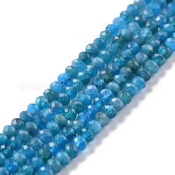 Chapelets de perles en apatite naturelle, facette, rondelle, 4x3mm, Trou: 0.8mm, Environ 137 pcs/chapelet, 15.35'' (39 cm)
