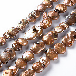 Naturales keshi abalorios de perlas hebras, perla cultivada de agua dulce, teñido, plano y redondo, chocolate, 11~26x11~22x4~10mm, agujero: 0.5 mm, aproximamente 14~20 pcs / cadena, 15.35 pulgada (39 cm)