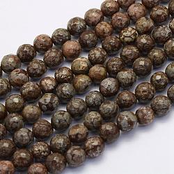 Natural Snowflake Obsidian Beads Strands, Round, Faceted, 10~10.5mm, Hole: 1mm, about 36pcs/strand, 15.7 inch(40cm)