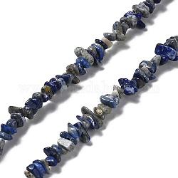 Chapelets de perles en lapis-lazuli naturel, puce, 1~5x3~16x3~5mm, Trou: 0.8~0.9mm, 29.92~32.68'' (76~83 cm)