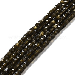 Naturale lucentezza dorata perle di ossidiana fili, sfaccettato, cubo, 2.5x2.5x2.5mm, Foro: 0.7 mm, circa 170pcs/filo, 15.35'' (39 cm)