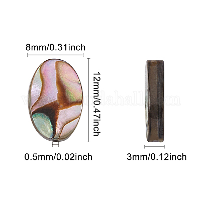 Geschäft Benecreat 30 Packungen natürliche Abalone-Muschel ovale