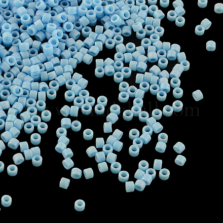 Perles miyuki delica X-SEED-R015-879-1