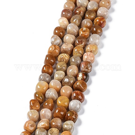 Natural Fossil Coral Beads Strands G-C038-02T-1
