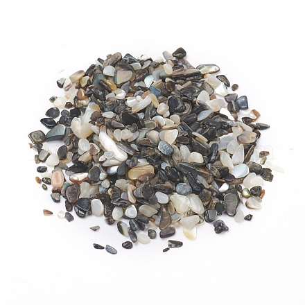 Perles de coquillages naturels d'eau douce BSHE-I011-03A-1