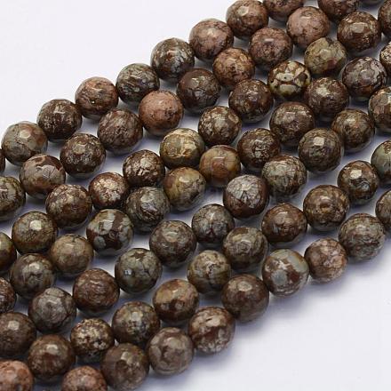 Naturschneeflocke Obsidian Perlen Stränge G-G697-F07-10mm-1