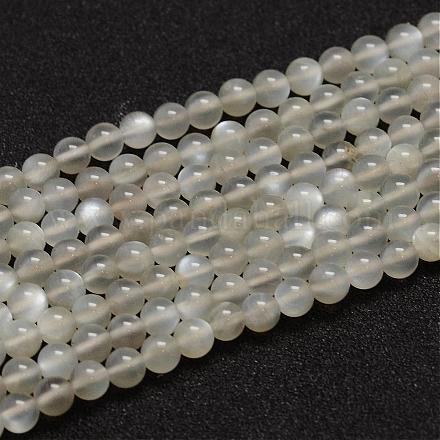 Natural Grey Moonstone Beads Strands G-F306-07-5mm-1