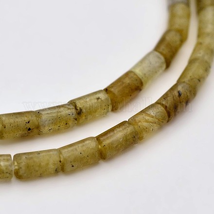 Column Natural Labradorite Beads Strands G-N0153-43-1