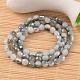 Faceted Drum Electroplate Half Plated Glass Beads Strands EGLA-M015-B02-2