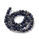 Natural Sodalite Beads Strands G-D481-12A-3