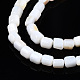 Eau douce naturelle de coquillage perles brins SHEL-N034-29B-01-3