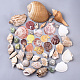 Natural Spiral Shell Beads SSHEL-N035-01-1