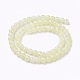 Crackle Glass Beads Strands GLAA-F098-06B-04-2