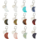 BENECREAT 12Pcs Moon Gemstone Pendants with 12 Constellations Stainless Steel Charms and Claw Clasps HJEW-BC0001-28-1