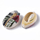 Printed Natural Cowrie Shell Beads SSHEL-R047-01-C10-3