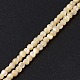 Fili di perle di conchiglia trochid naturale / trochus SSHEL-S266-023B-01-3