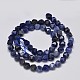 Faceted Natural Sodalite Beads Strands G-K066-02-6mm-2