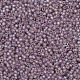 Toho perles de rocaille rondes SEED-TR11-0166F-2