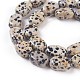 Chapelets de perles en jaspe dalmatien naturelle G-I231-09-3