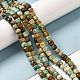 Natural Turquoise Beads Strands G-P506-06C-2