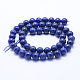 Natural Lapis Lazuli Beads Strands G-P342-01-8mm-AB-2