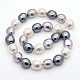 Concha ovalada hebras de abalorios de perlas BSHE-M008-04-2