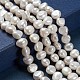 Natural Cultured Freshwater Pearl Beads Strands PEAR-S012-30-4
