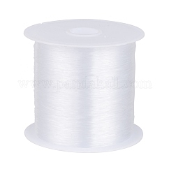 Nylondraht, Angelleine, Transparent, 0.25 mm, ca. 109.36 Yard (100m)/Rolle