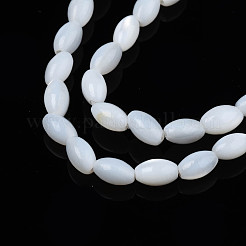 Naturali di acqua dolce perline shell fili&nbsp;SHEL-N003-25