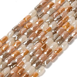 Chapelets de perles en verre électroplaqué&nbsp;EGLA-P065-02A