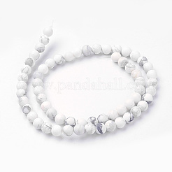 Natürliche Howlith Perle Stränge&nbsp;G-G735-66F-6mm