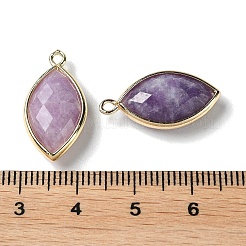 Pendenti in pietra di lepidolite naturale/mica viola&nbsp;G-B009-01G-01