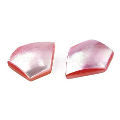 Natürliche Turbo Cornulus/Top Shell Cabochons&nbsp;SSHEL-N003-155B