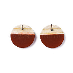 Orecchini in resina e legno&nbsp;EJEW-N017-003A-C03