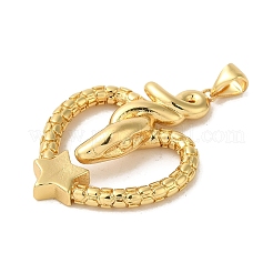 Messing Anhänger & Charms&nbsp;KK-R162-031A-G