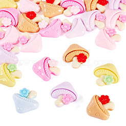 30 Stück opake Harz-Cabochons&nbsp;CRES-TA0001-46