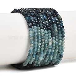 Natürliche blaue Turmalinperlenstränge&nbsp;G-B088-D12-01
