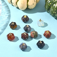 10 Stück Kürbis-Anhänger aus natürlichen und synthetischen Edelsteinen mit goldfarbenen MessingKlauen&nbsp;G-YW0002-45
