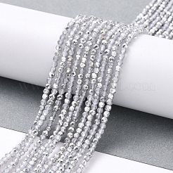 Trasparenti perle di vetro placca fili&nbsp;GLAA-H021-01A-HP06