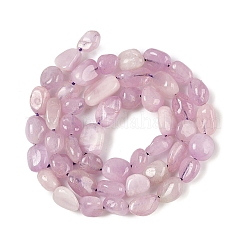 Naturperlen Stränge kunzite&nbsp;G-A254-B02-01