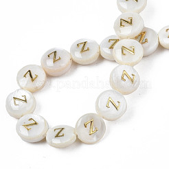 Perles de coquillages naturels d'eau douce&nbsp;SHEL-S276-168