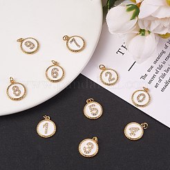 10pcs 10 Stil Messing Micro Pave klaren Zirkonia Charms&nbsp;ZIRC-SZ0001-53