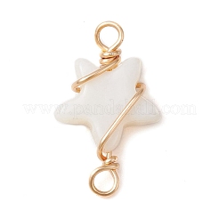 2 pz 2 stili di connettori avvolti in filo di rame con conchiglia d'acqua dolce naturale&nbsp;PALLOY-JF02439