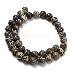 Brins de perles de jaspe astroite naturel&nbsp;G-F814-A01-10mm